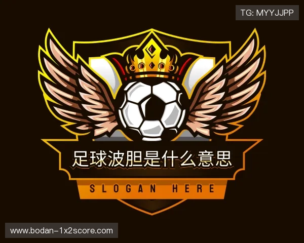 解读波胆足球
